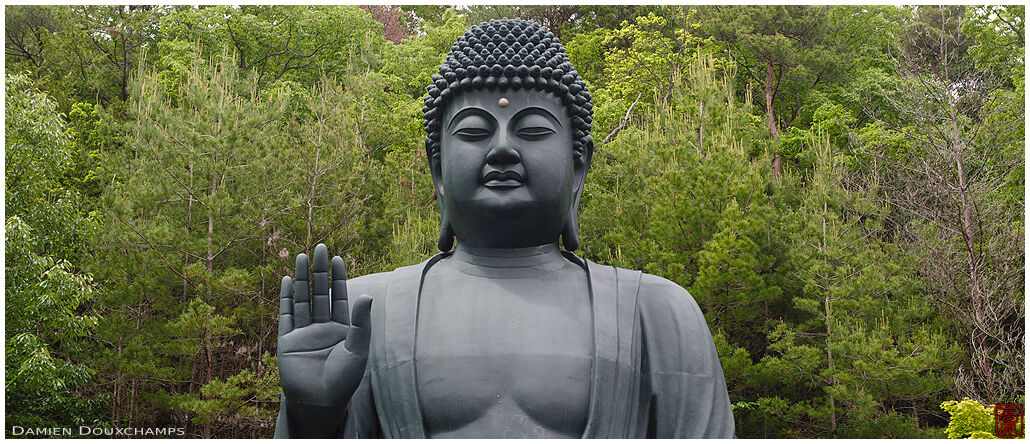 Large dark but smiling Buddha statue in Shippo-ji temple, Osaka, Japan