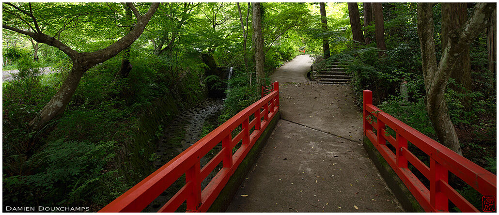 Lush green vegetation surrounding the red entrance bridge to Jinzo-in temple, Kyoto, Japan