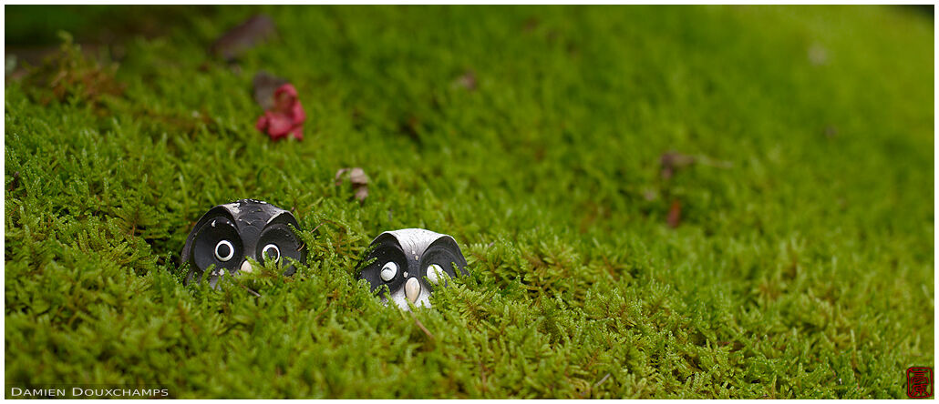 Two little owl figurines hiding in moss, Jinzo-ji temple, Kyoto, Japan