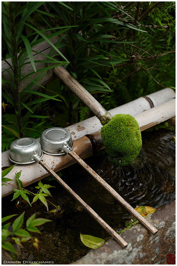 Moss-covered tsukubai spigot, Jinzo-ji temple, Kyoto, Japan