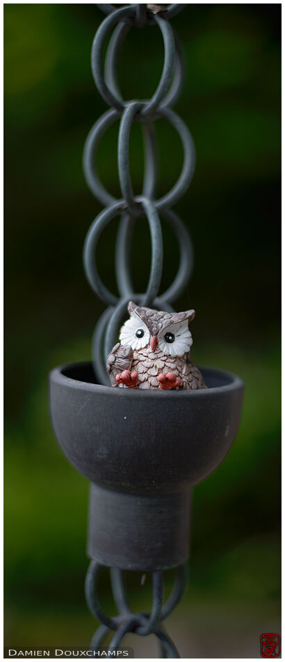 Small owl porcelain resting in a rain drain chain, Jinzo-ji temple, Kyoto, Japan