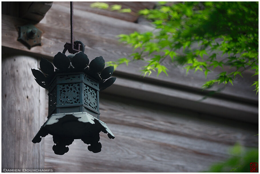 Dark metallic lantern and green leaves, Kuwayama shrine, Kyoto, Japan