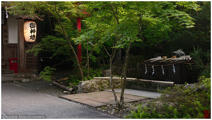Paper lantern and washbasin on the grounds of Kuwayama-jinja, Kyoto, Japan