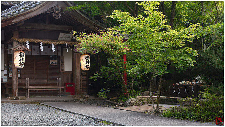 Last light on the entrance of Kuwayama shrine, Kyoto, Japan
