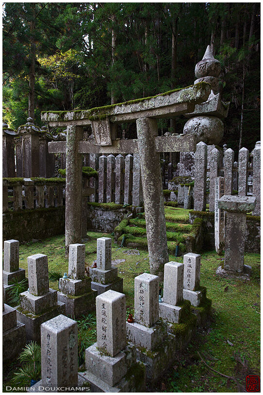 Mossy stone torii gate and numerous small tombstones in the Okunoin cemetery, Koyasan, Japan