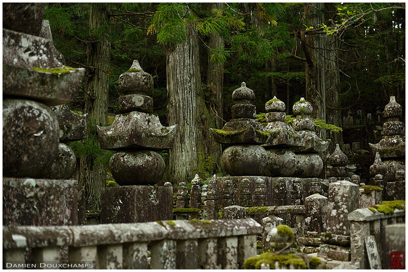 Large moss-covered tombs in the forest cemetery of Koya-san, Japan