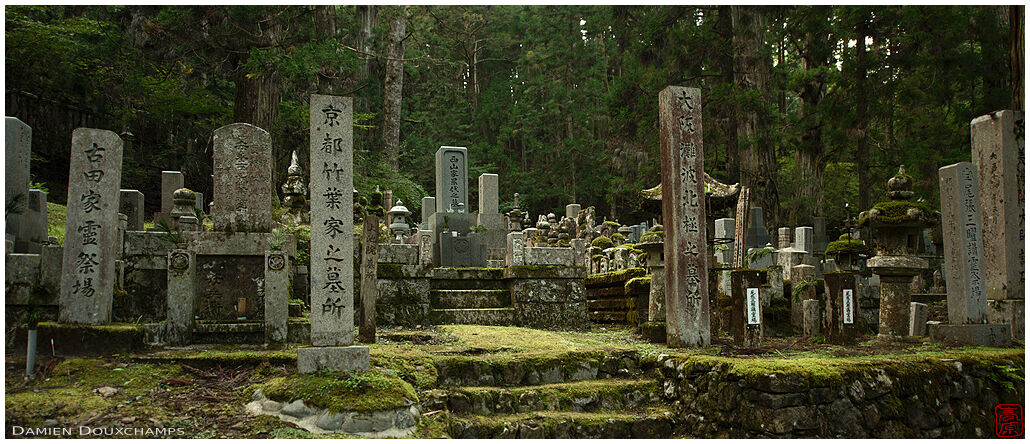 Tomb stones in moss covered forest, Okunoin, Koyasan, Japan