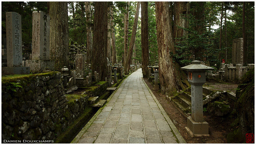 Main path in the forest cemetery of Okunoin, Wakayama, Japan