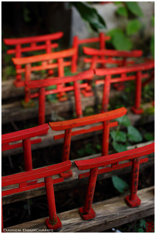Small torii votive offerings, Kiyotaka Inari shrine, Koya-san, Japan