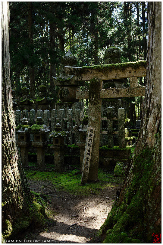 Stone torii gate covered with moss in the forest cemetery of Okuno-in, Wakayama, Japan