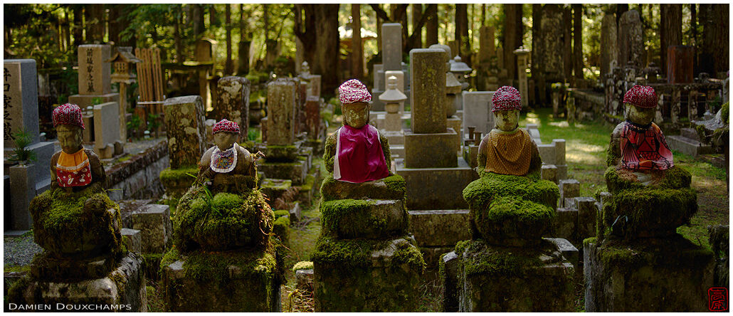 Five jizo with hats and bibs on mossy pedestals in Okunoin cemetery of Koyasan, Japan