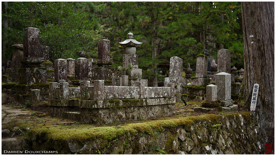 Graves at the entrance of the Okuno-in forest cemetery, Koya-san, Japan