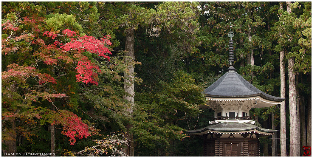 White pagoda in autumn forest, Koya-san, Japan