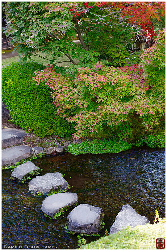 Stepping stones across a little stream in a garden of Koko-en, Hyogo, Japan
