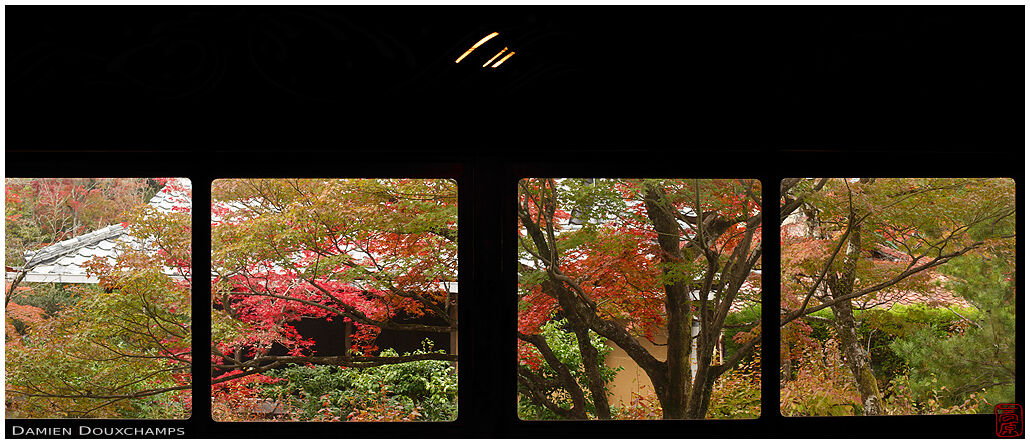 Autumn colour view from tea room, Shodensanso, Kyoto, Japan