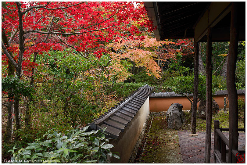 Autumn foliage near tea house in the garden of Shodensanso, Kyoto, Japan
