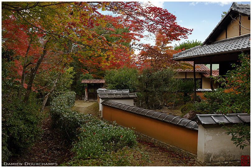 Gentle autumn colours around tea houses in Shodensando garden, Kyoto, Japan