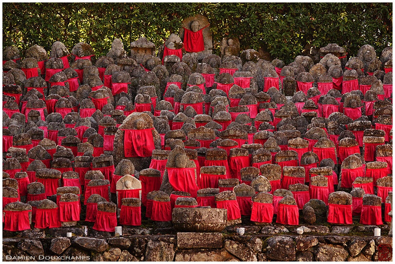Afternoon light on a large gathering of jizo and their red bibs, Risho-in temple, Kyoto, Japan