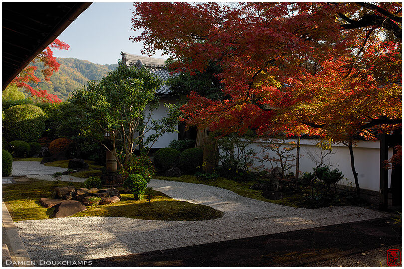 Dry landscape garden in autumn, Shinyodo temple, Kyoto, Japan