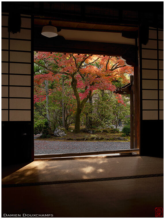 Traditional architecture with view on autumn colours at the formal entrance of Shinyo-do temple, Kyoto, Japan