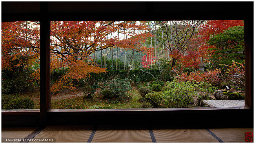 The muted autumn colours of Hosen-in garden, Kyoto, Japan