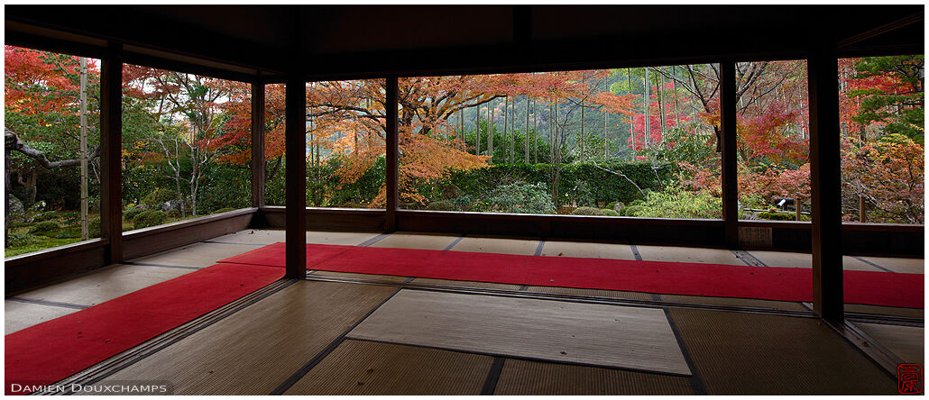 Autumn colours surrounding the main hall of Hosen-in temple, Kyoto, Japan