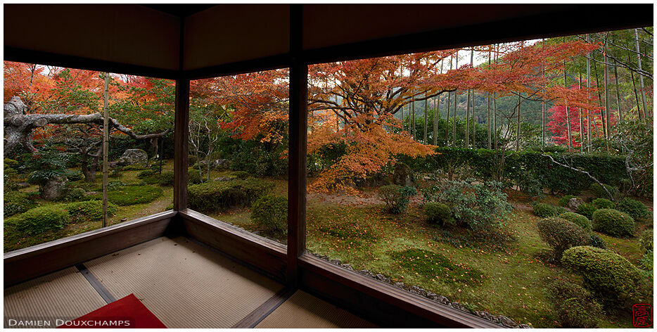 Relaxing autumn afternoon mood in Hosen-in temple, Kyoto, Japan