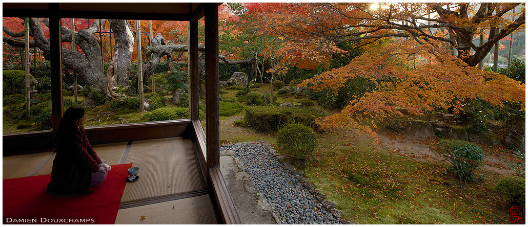 Having a relaxing tea time during autumn in Hosen-in temple, Kyoto, Japan