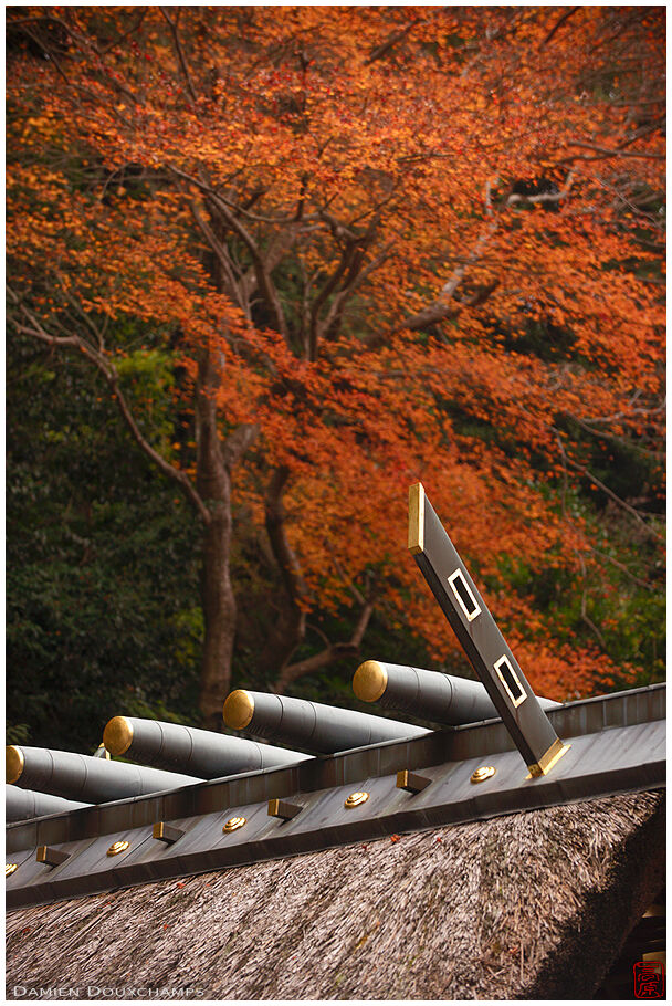 Himukai Daijingu (日向大神宮)