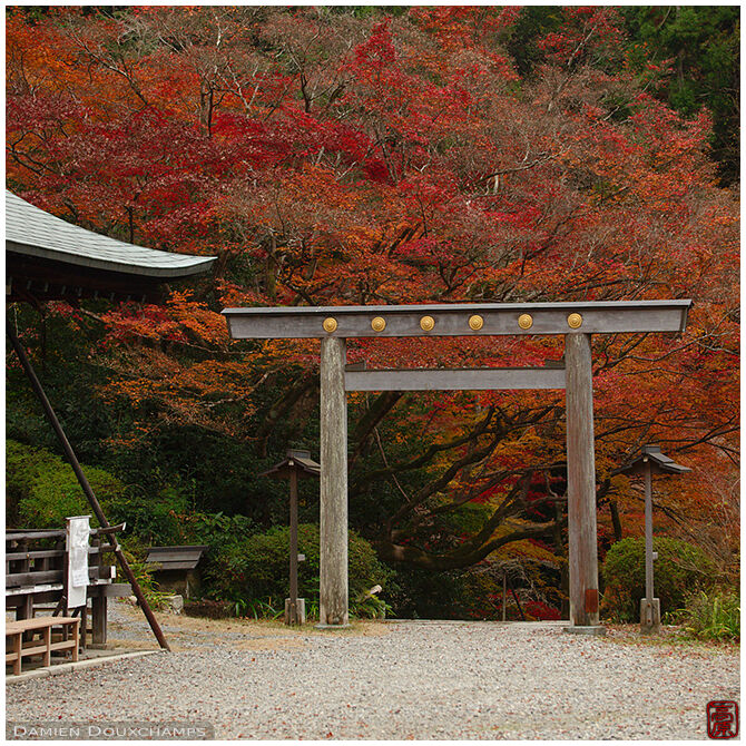 A very formal wooden torii gate marking the entrance of Himukai Daijingu shrine, Kyoto, Japan