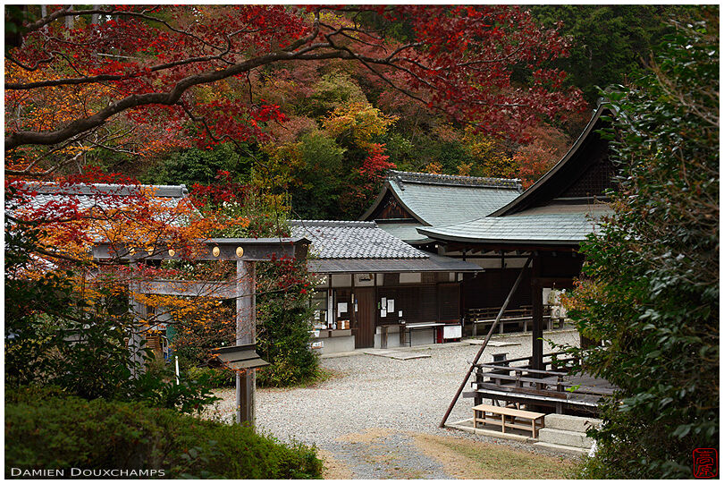 Late autumn colours in the remote Himukai Daijingu shrine, Kyoto, Japan