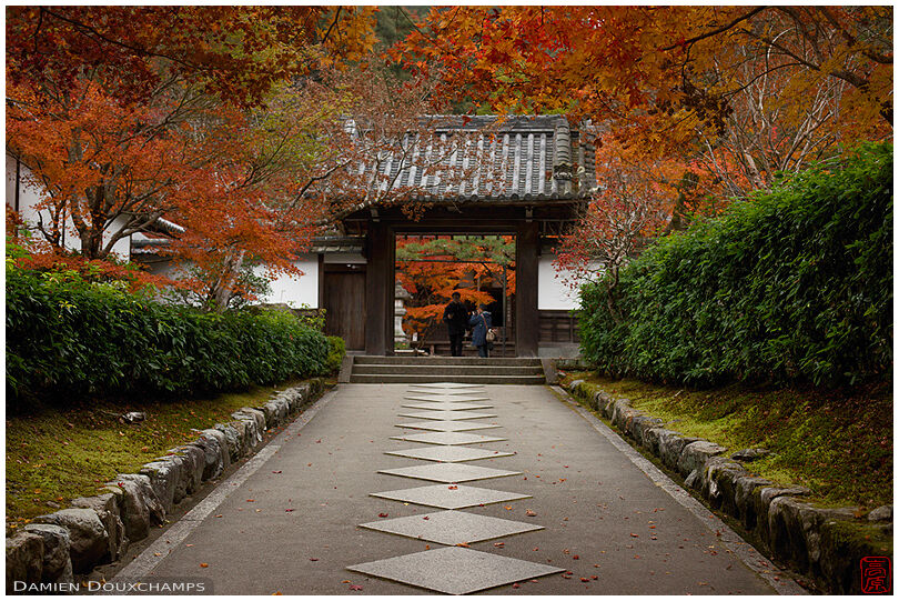 Autumn foliage over the entrance gate of Saisho-in temple, Kyoto, Japan