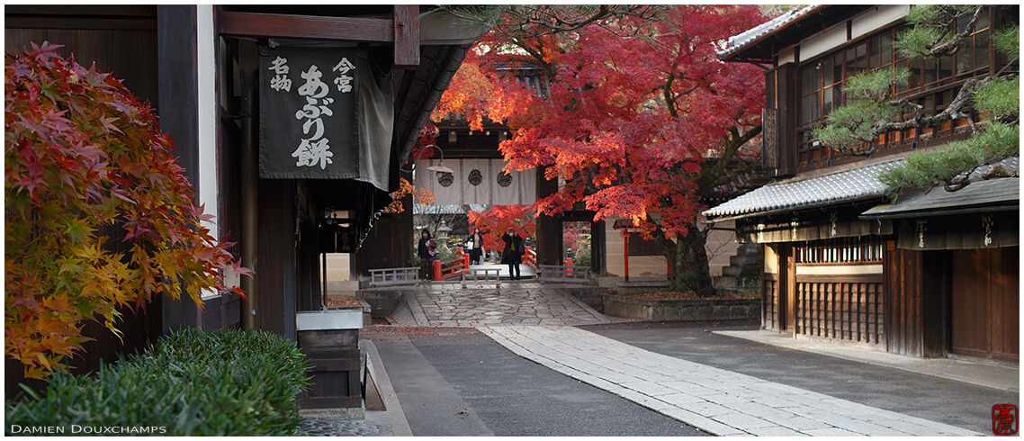 Traditional street leading to Imamiya shrine, Kyoto, Japan