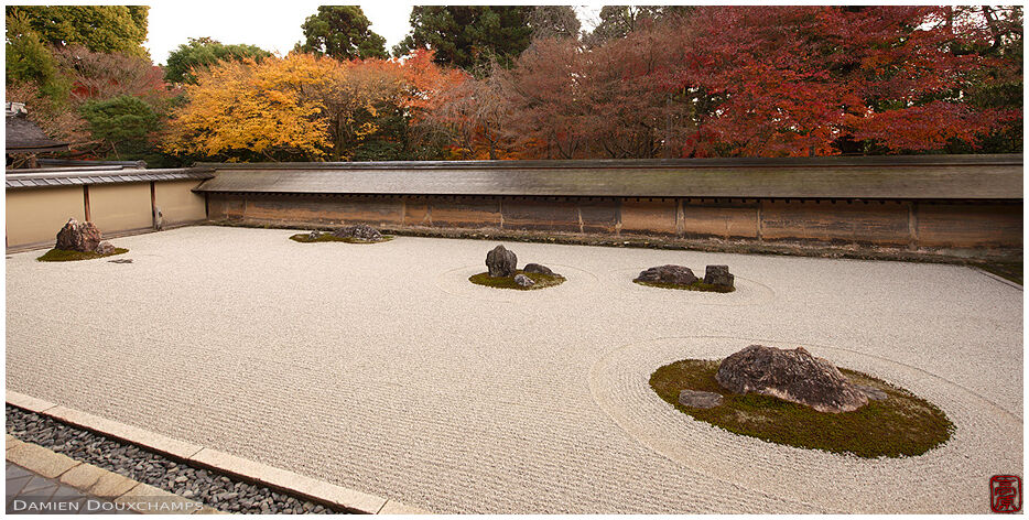 Famous rock garden of Ryoanji temple in autumn, Kyoto, Japan