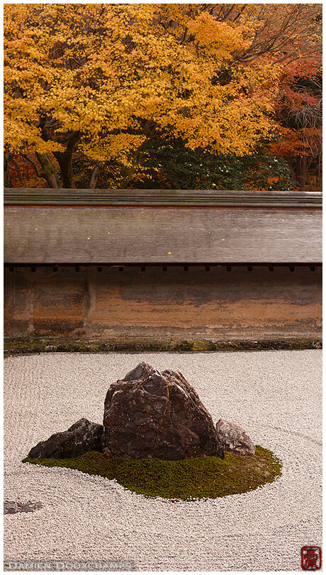 Yellow foliage over stone in rock garden, Ryoanji temple, Kyoto, Japan