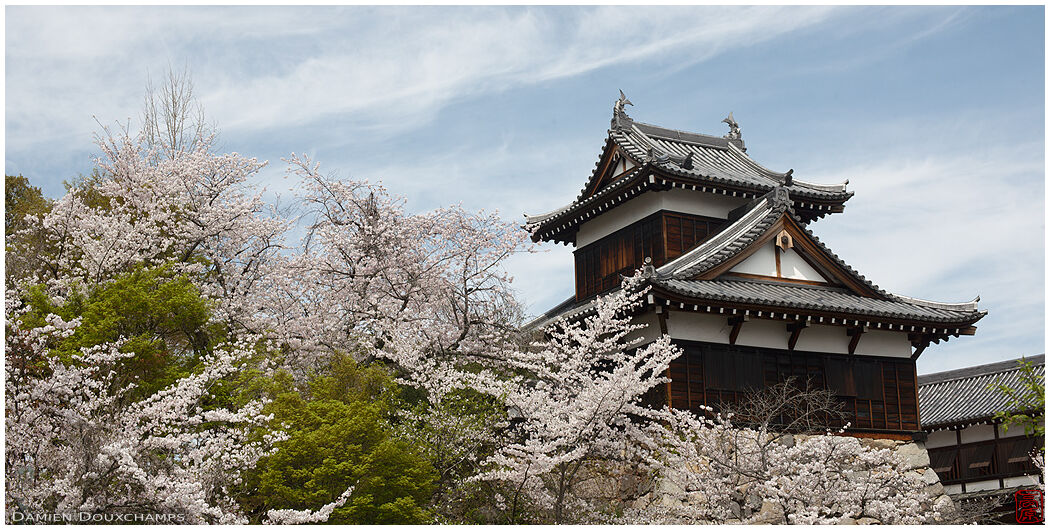 Yamato Koriyama Castle (大和郡山城)