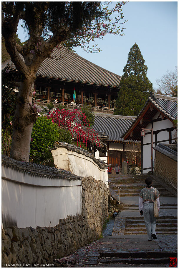 Nigatsu-dō (二月堂)