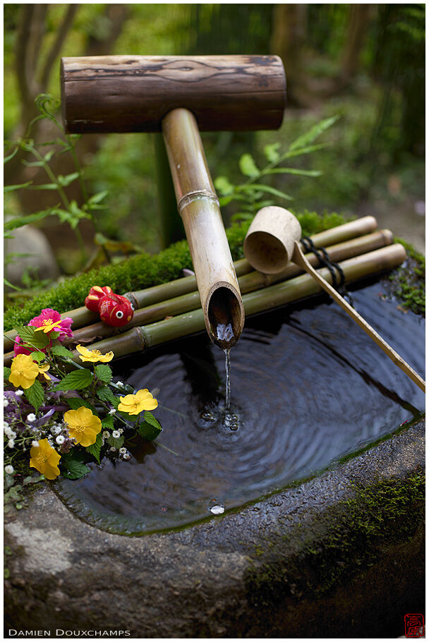 Tsukubai with cute but fishy decorations, Hosen-in temple, Kyoto, Japan