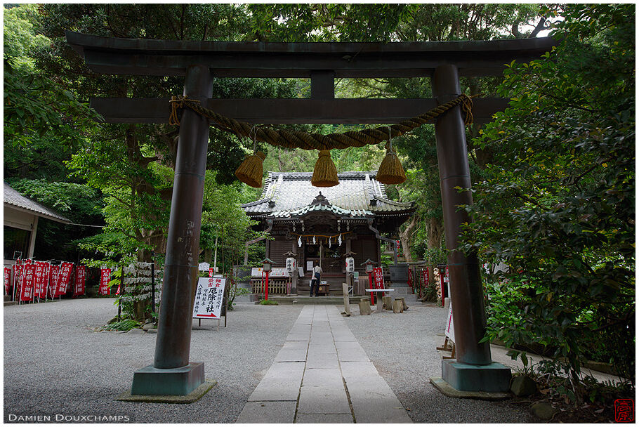 Yakumo-jinja (八雲神社)