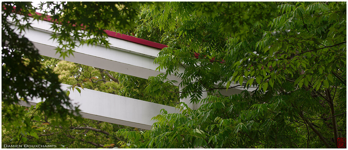 Rare white and red torii gate in Kamakura-gu shrine, Japan