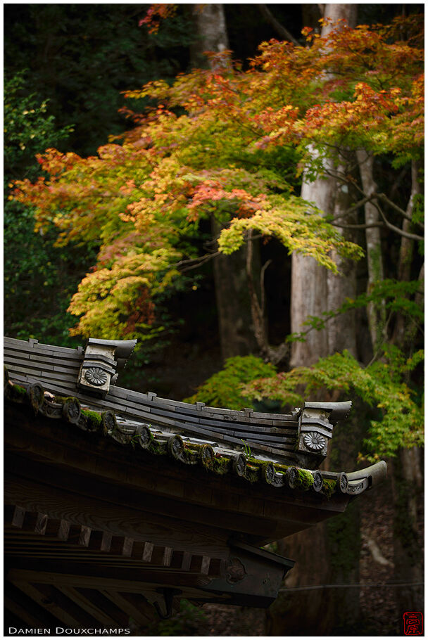 Eigen-ji (永源寺)