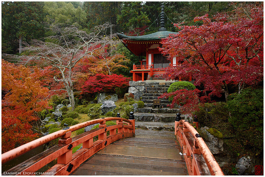 Daigo-ji (醍醐寺)