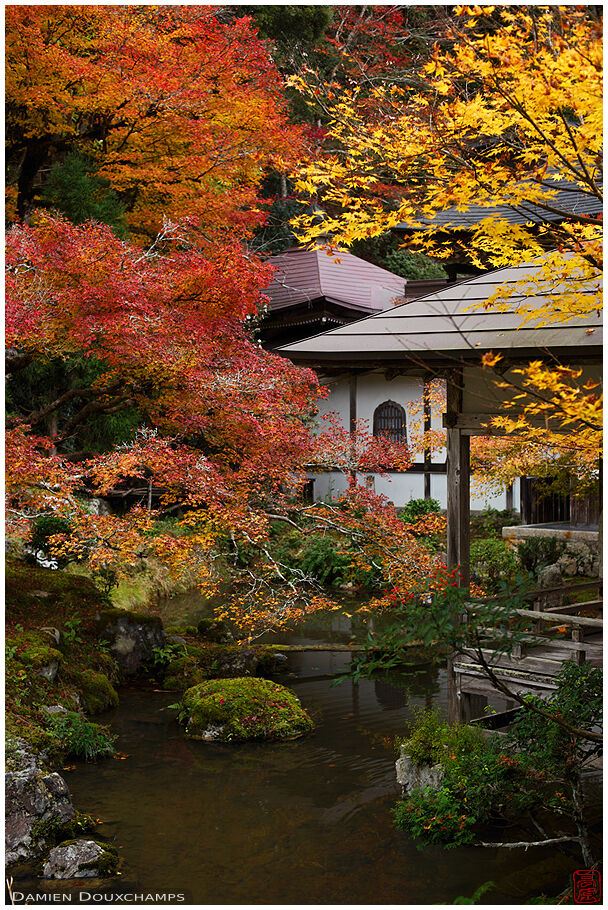 Jōshōkō-ji (常照皇寺)