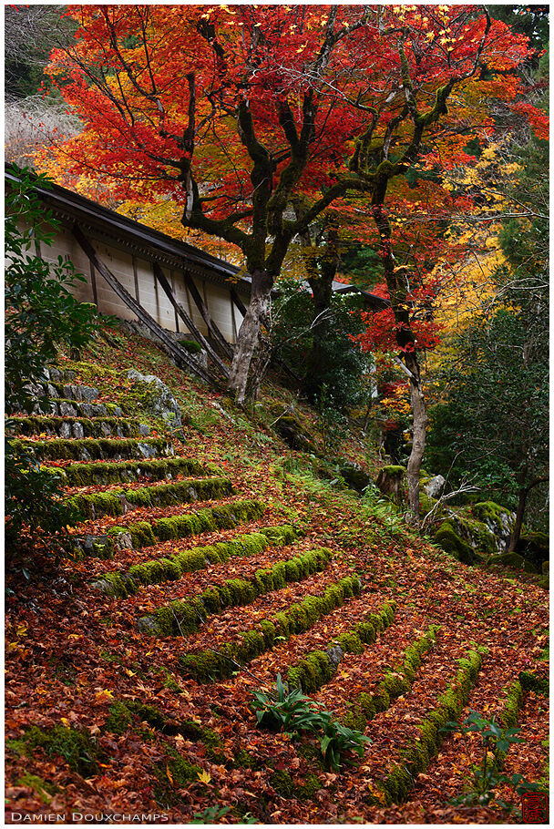 Jōshōkō-ji (常照皇寺)