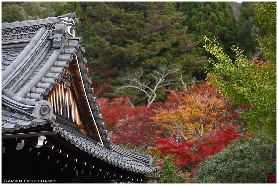 Reikan-ji (霊鑑寺)