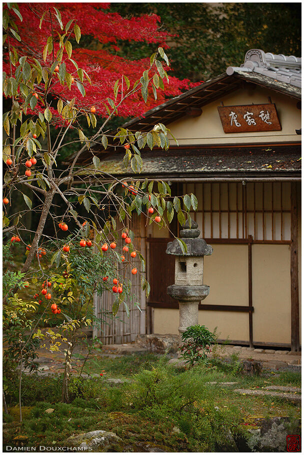 Hakusa-sonsō (白沙村荘)