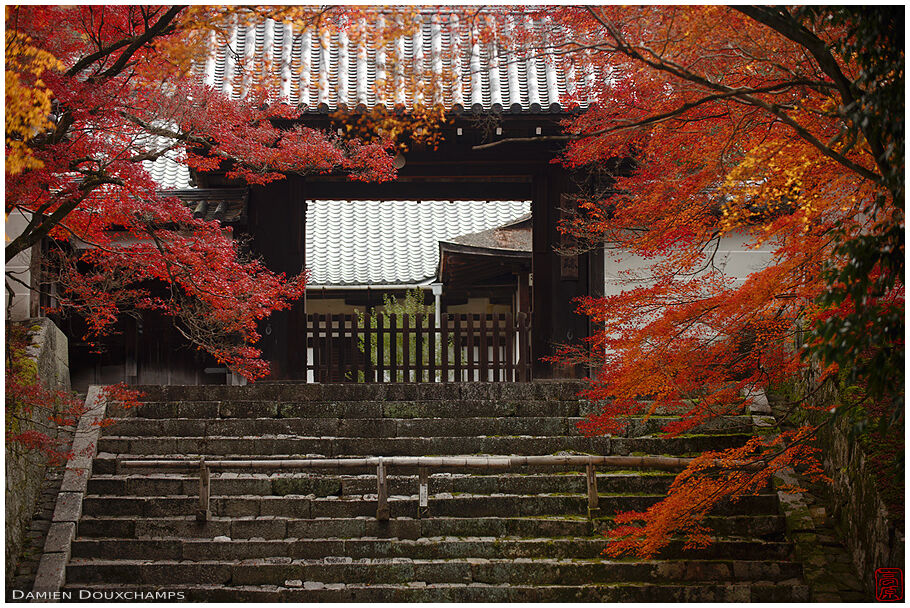 Manshuin (曼殊院)