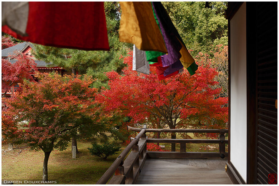 Daikaku-ji (大覚寺)