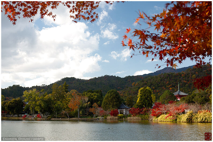 Daikaku-ji (大覚寺)