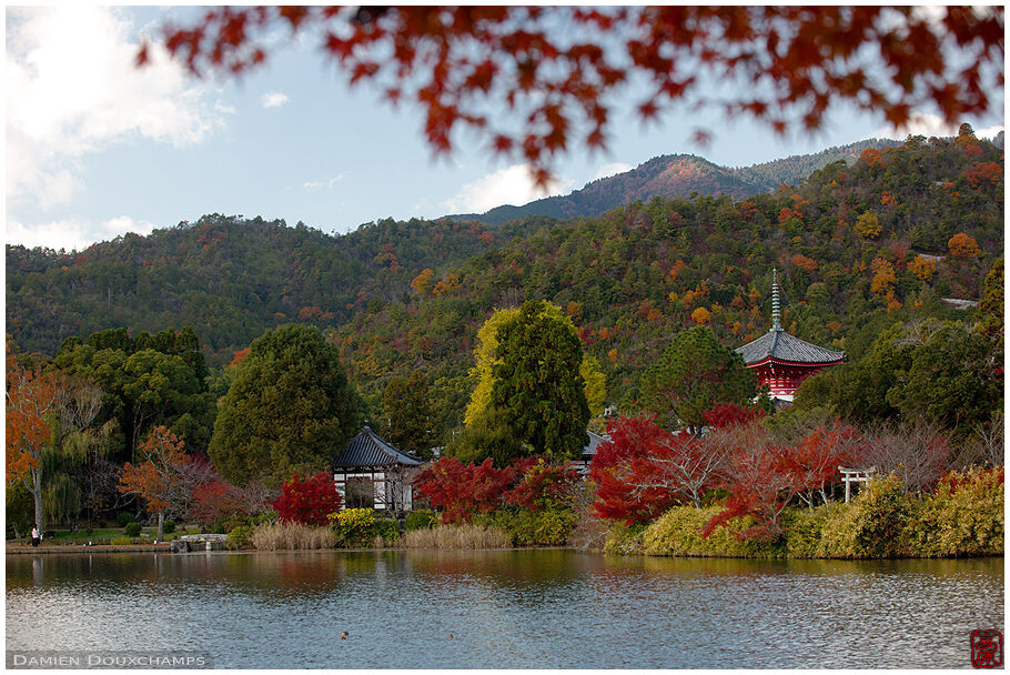 Daikaku-ji (大覚寺)